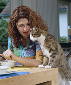 La dieta y los gatos diabéticos